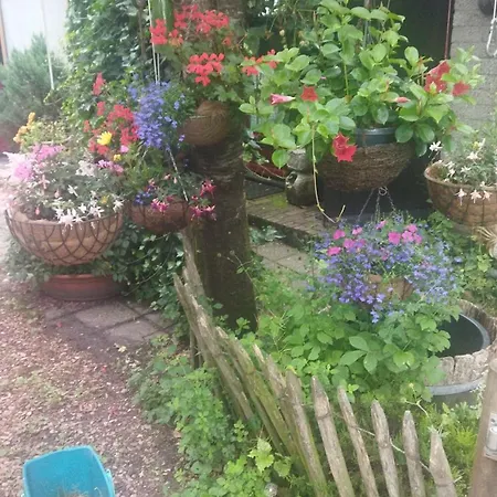 Bed&Breakfast Het Oude Bos-2