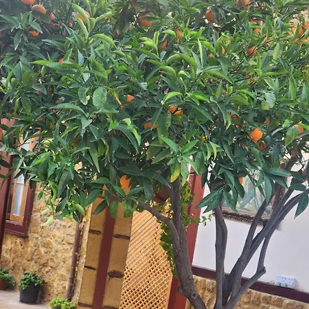 Aksaray Boutique Hotel-3