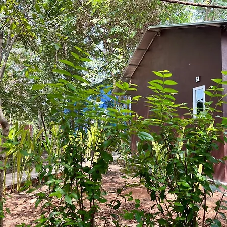 River Nest Hostel-2
