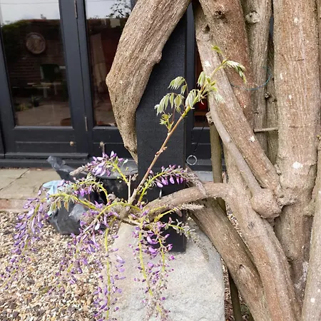 Wisteria Barn-3
