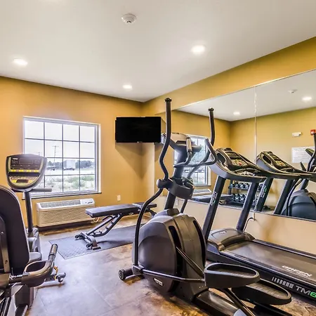 Cobblestone Hotel & Suites - Killdeer-3
