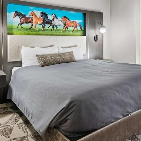 Big Country Hotel & Suites, Surestay Collection By BW-3