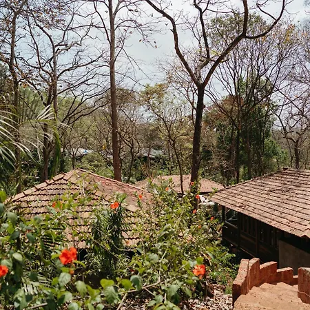 Mojigao - Eco Resort-3