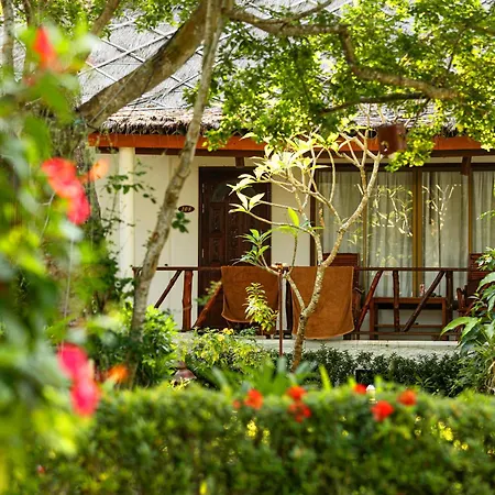 Lipa Lodge Beach Resort-2