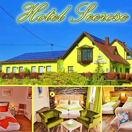 Hotel Seerose Garni-2