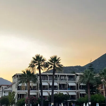 Palm Trees Hotel-2