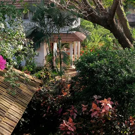 Gaia'S Garden Guest House-2