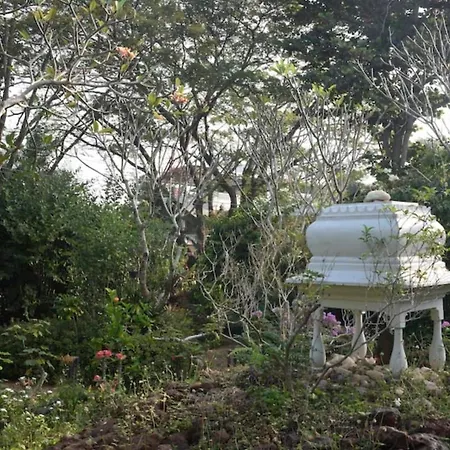 Gaia'S Garden Guest House-3