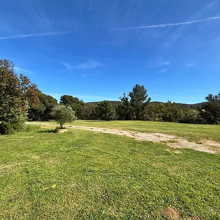 Le Pin d'Alep-2