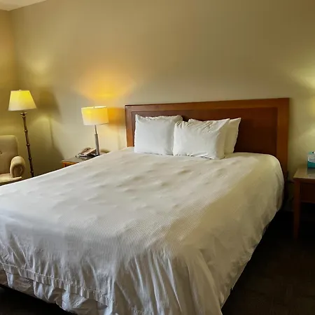 Athabasca Valley Inn & Suites-2