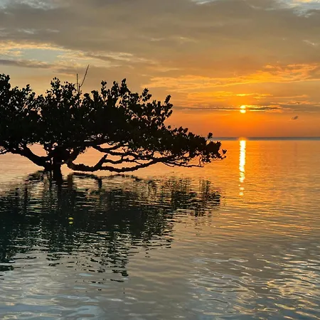 Mangrove Lodge-3