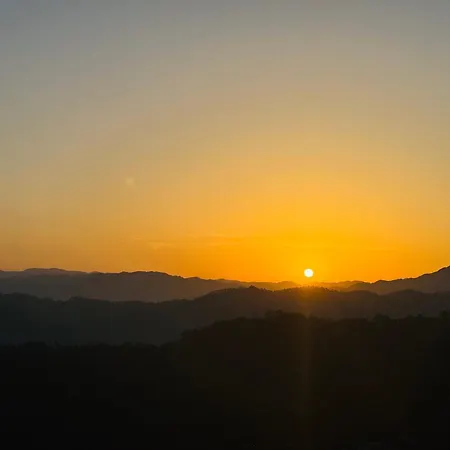 Samarth Kasauli Hills Bed & Breakfast 2 Km From Mall Road-3