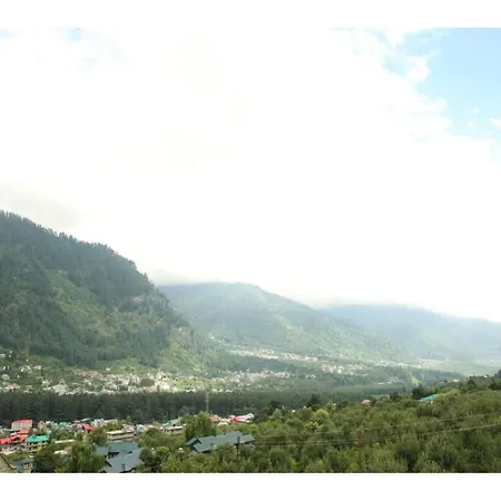 Hotel Saras Manali-3