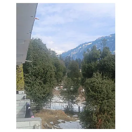 Hotel Saras Manali-2