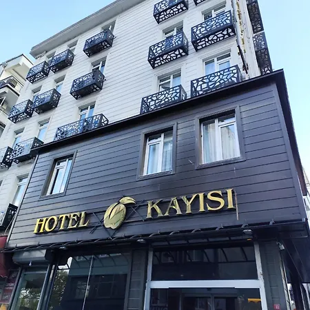 Hotel Kayisi-3