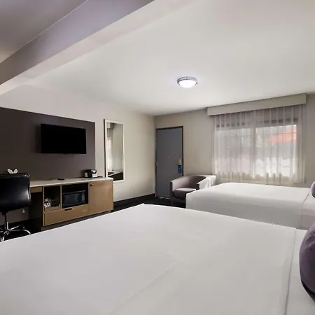 Sunset West Hotel, Surestay Collection By Best Western-3
