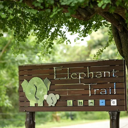 Elephant Trail-2