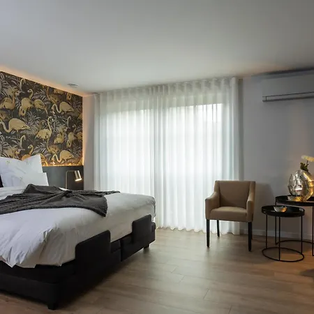 B&B Sasput-3