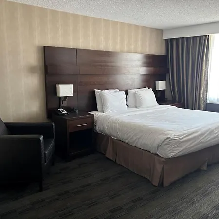 Radisson Hotel Winnipeg Downtown-3