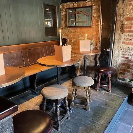 The Plume Of Feathers-2