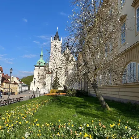 Vila Adela - Teplice-2