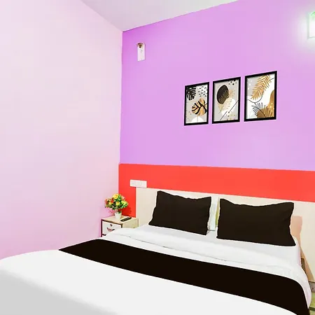 Hotel O Pink City Palace-3