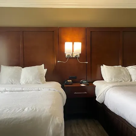 Forestpark Suites-2
