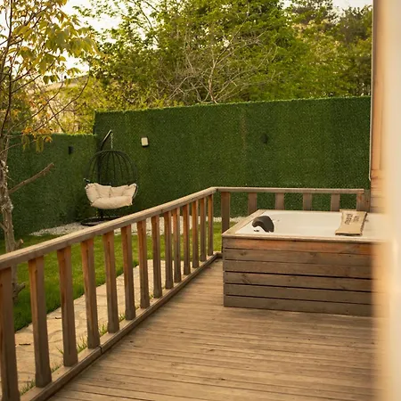 Sapanca Alya Bungalov-3