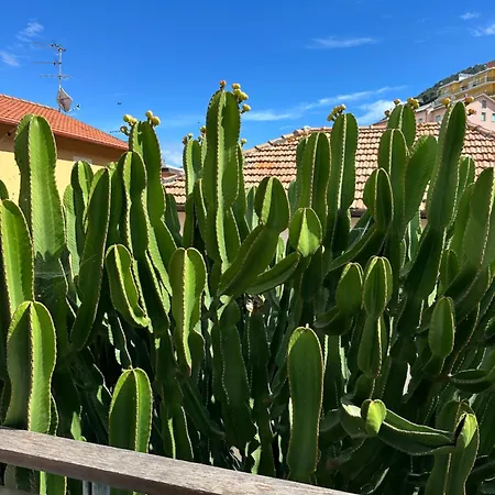 Hotel Mambo-2