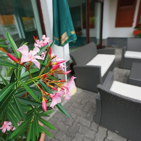 Landhotel Gasthof Zwota-3