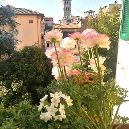 Bed And Breakfast Evelina-3
