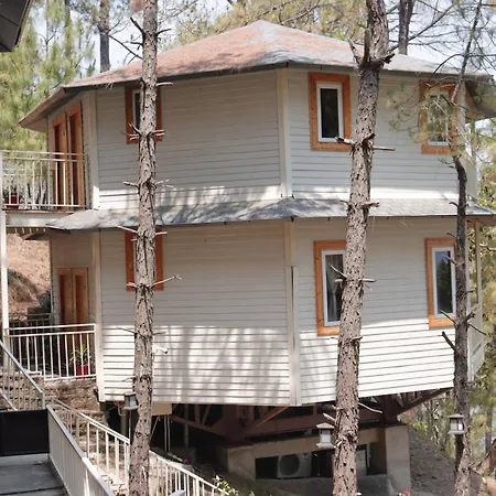 The Woods Retreat-2