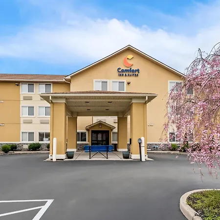 Comfort Inn & Suites Fairborn Near Wright Patterson Afb-2