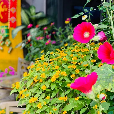 May'S House Hoi An-2