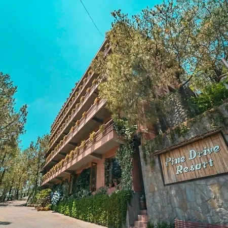 Pine Vista Resort !! A Complete Resort With All Facilities # A Beautiful Mountain View # Best Selling Property-2