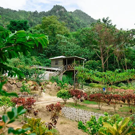 Bambooze Eco Cabin Including Therapeutic Sulphur Baths-3