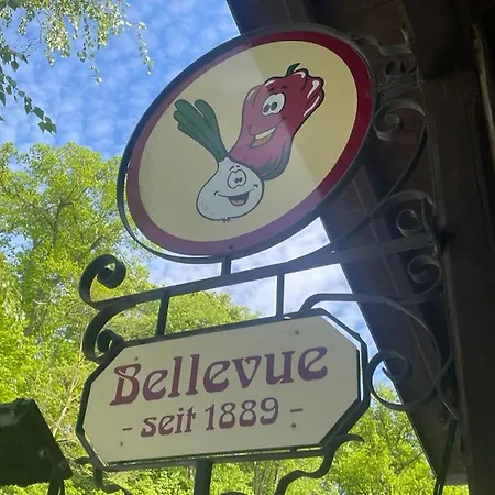 Gasthaus Bellevue-2