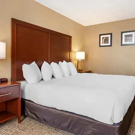 Comfort Inn Msp Airport - Mall Of America-3