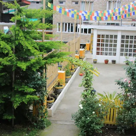 The Village Manali- Cafe, Bar & Bistro-3