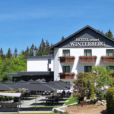 Hotel Winterberg Resort-3