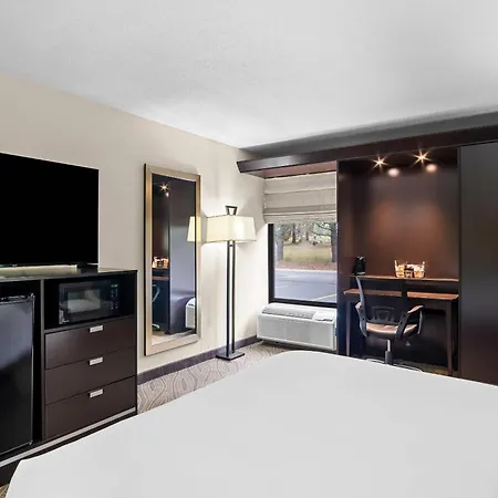 Comfort Inn Cadillac-2