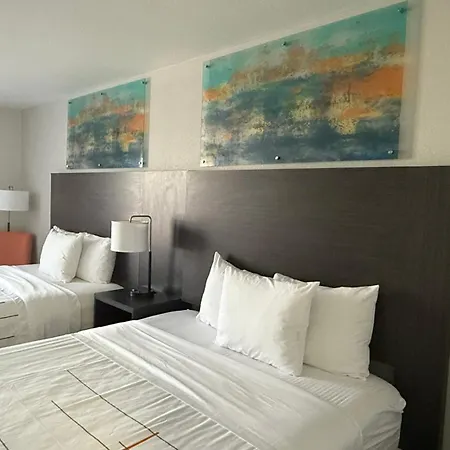 La Quinta Inn & Suites By Wyndham South Holland-2