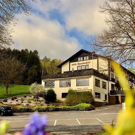 Hotel Gassbachtal-3
