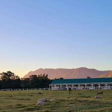 Blue Mountain Farm Lodge, Cabins & Cottages-2