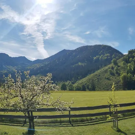 Gasthaus Aiplspitz-3