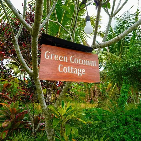 Green Coconut Cottage-3