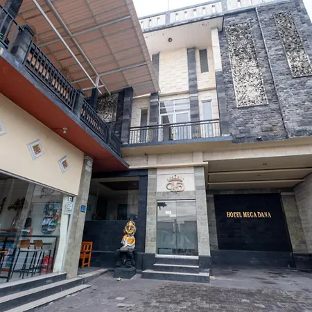Hotel Mega Dana-3