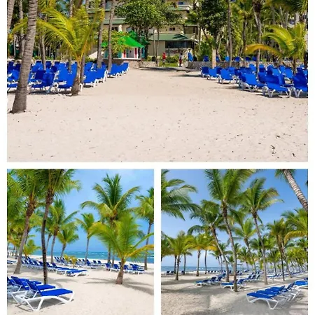 Coral Costa Caribe-3