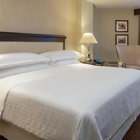 Sheraton Houston Brookhollow Hotel-3
