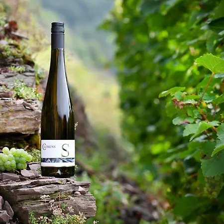 Weingut Clemens-3